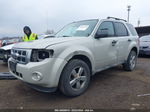 2009 Ford Escape Xlt Gray vin: 1FMCU93G69KC31786