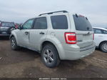 2009 Ford Escape Xlt Gray vin: 1FMCU93G69KC31786