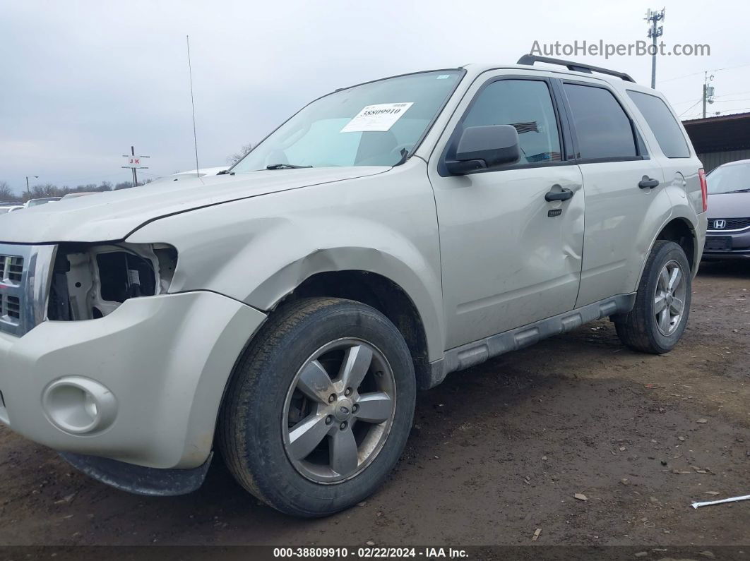 2009 Ford Escape Xlt Gray vin: 1FMCU93G69KC31786