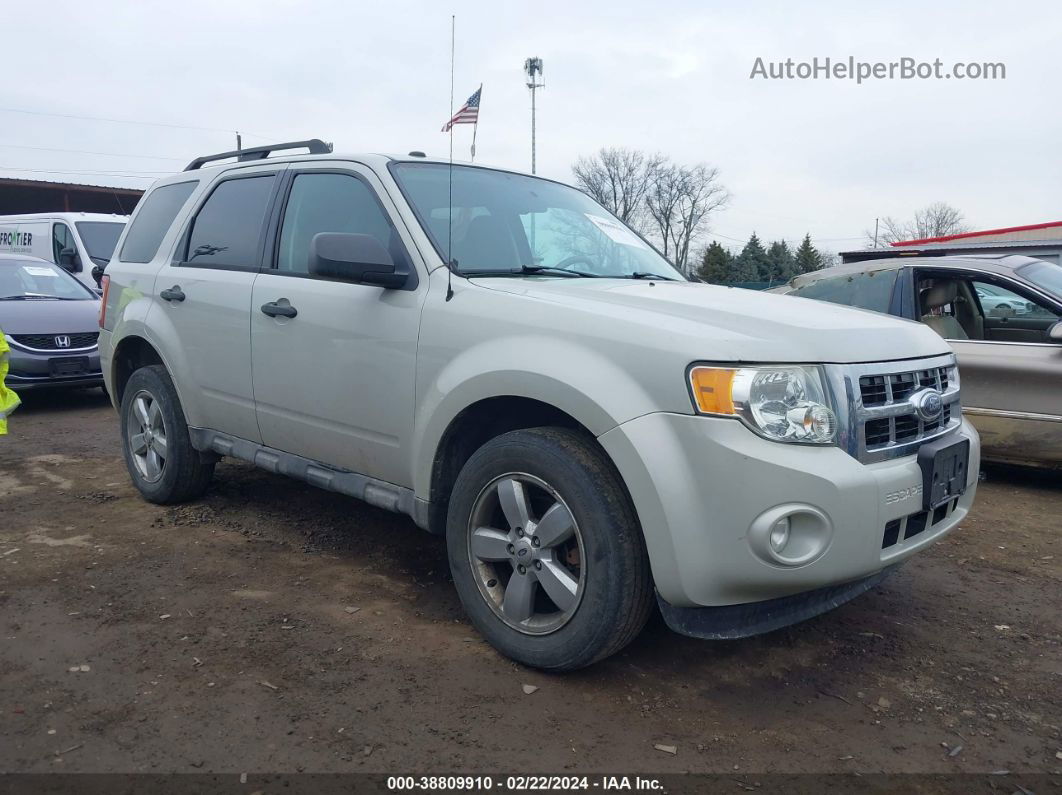 2009 Ford Escape Xlt Gray vin: 1FMCU93G69KC31786