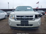 2009 Ford Escape Xlt Gray vin: 1FMCU93G69KC31786