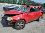 2009 Ford Escape Xlt Red vin: 1FMCU93G79KA43049