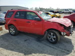 2009 Ford Escape Xlt Red vin: 1FMCU93G79KA43049