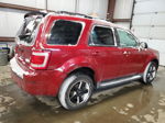 2009 Ford Escape Xlt Красный vin: 1FMCU93G79KB18137