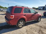 2009 Ford Escape Xlt Красный vin: 1FMCU93G79KB65409