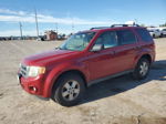 2009 Ford Escape Xlt Красный vin: 1FMCU93G79KB65409