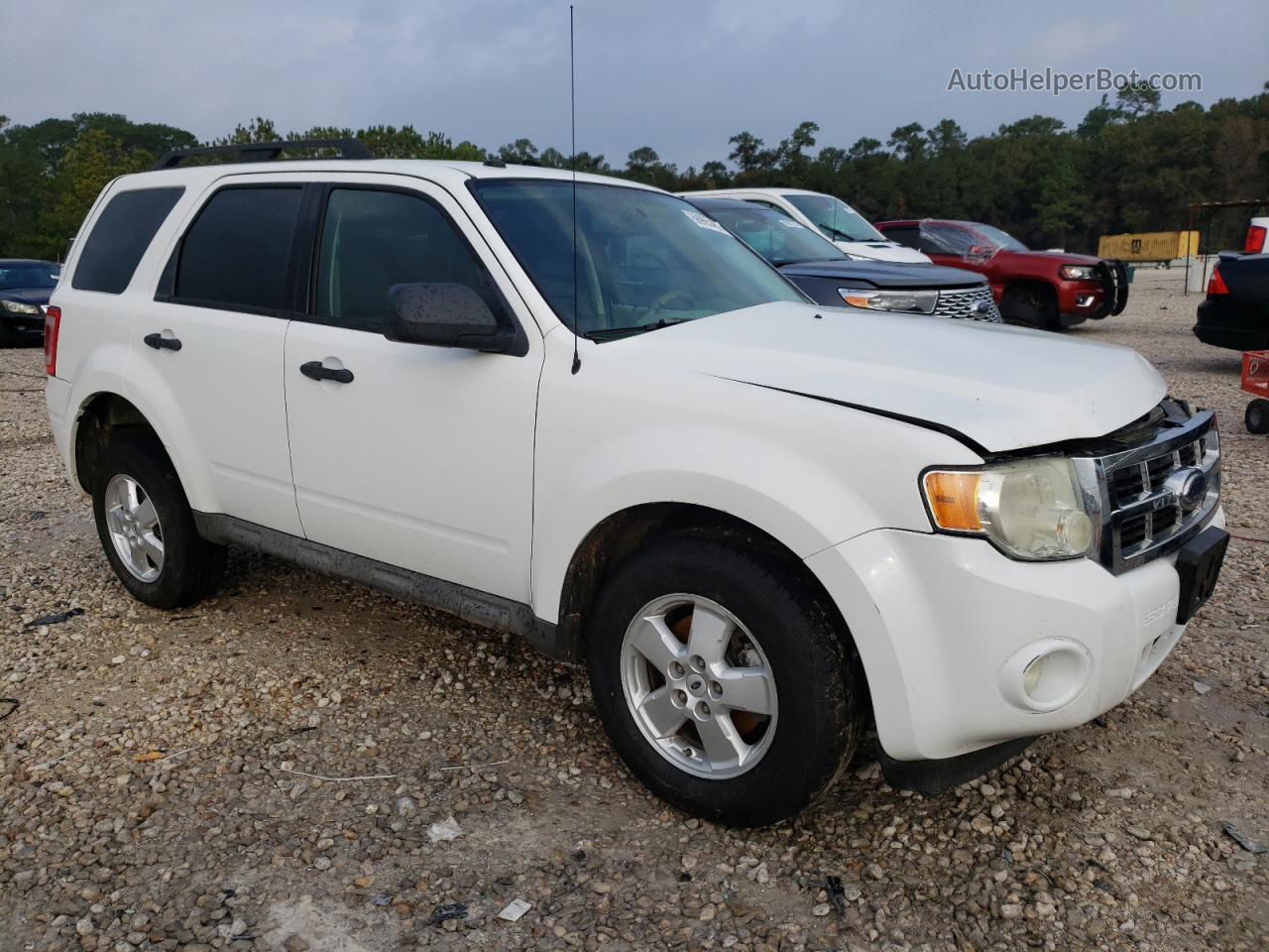 2009 Ford Escape Xlt White vin: 1FMCU93G79KB81156