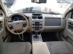 2009 Ford Escape Xlt Белый vin: 1FMCU93G79KB81156