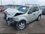 2009 Ford Escape Xlt Gray vin: 1FMCU93G79KC30209