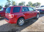 2009 Ford Escape Xlt Red vin: 1FMCU93G79KC49293