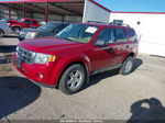 2009 Ford Escape Xlt Red vin: 1FMCU93G79KC49293