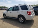 2009 Ford Escape Xlt White vin: 1FMCU93G79KC67955