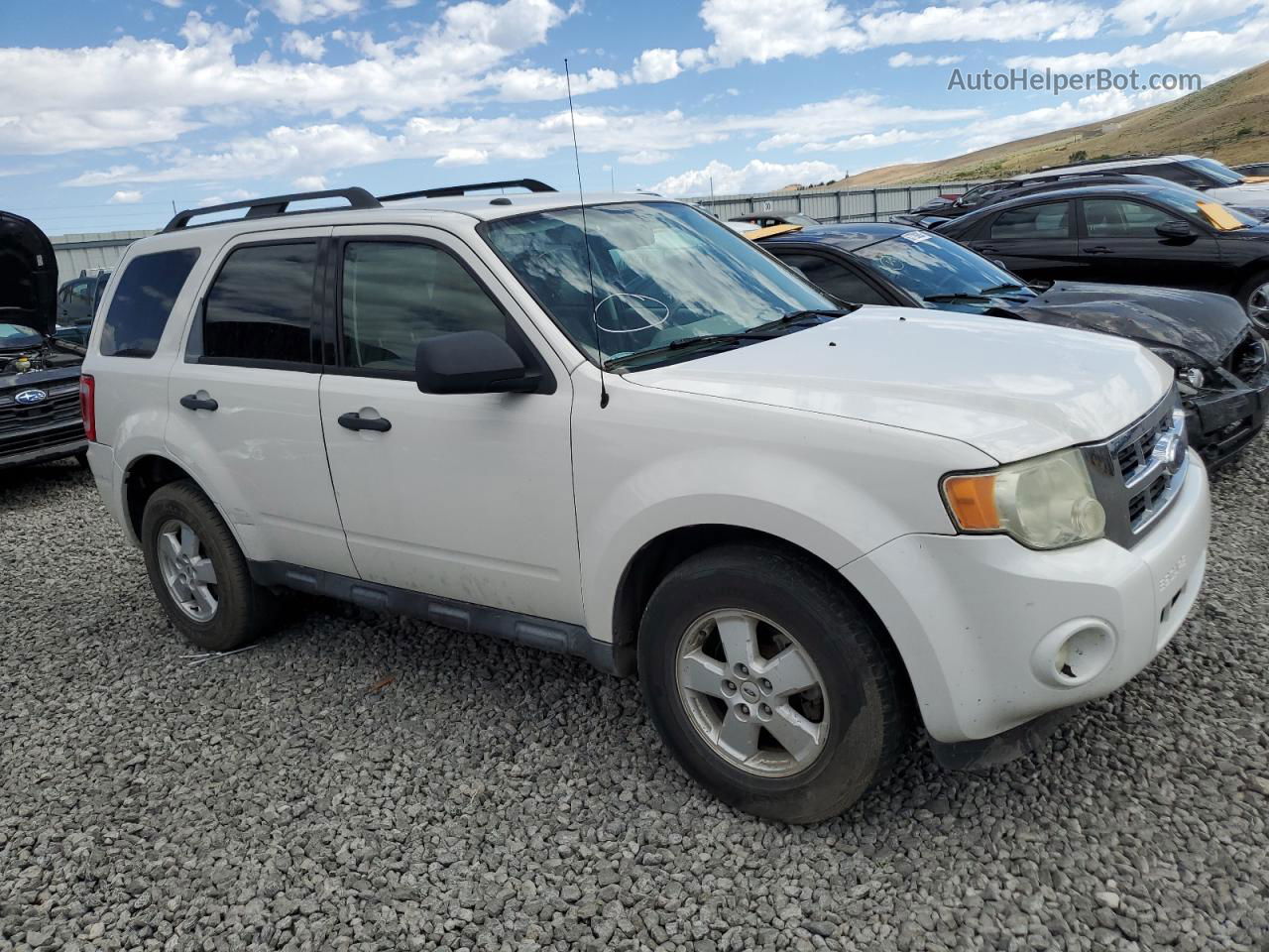 2009 Ford Escape Xlt White vin: 1FMCU93G89KA12649