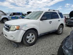 2009 Ford Escape Xlt White vin: 1FMCU93G89KA12649