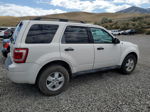 2009 Ford Escape Xlt White vin: 1FMCU93G89KA12649