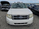 2009 Ford Escape Xlt Белый vin: 1FMCU93G89KA12649