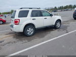 2009 Ford Escape Xlt White vin: 1FMCU93G89KA26664