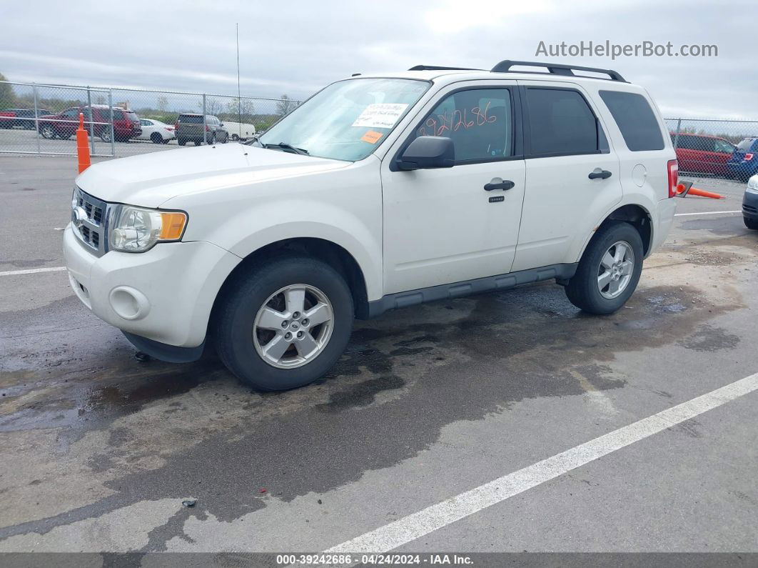 2009 Ford Escape Xlt White vin: 1FMCU93G89KA26664