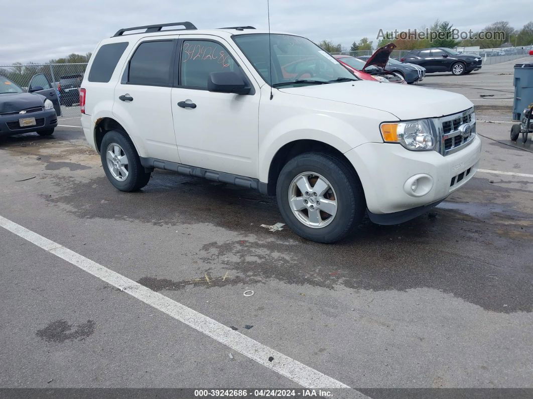 2009 Ford Escape Xlt White vin: 1FMCU93G89KA26664