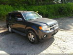 2009 Ford Escape Xlt Gray vin: 1FMCU93G89KA57249