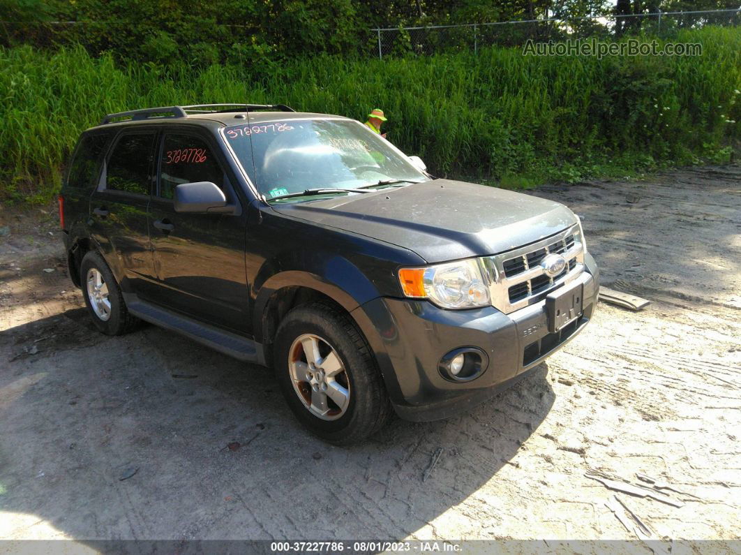 2009 Ford Escape Xlt Серый vin: 1FMCU93G89KA57249