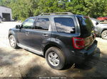 2009 Ford Escape Xlt Gray vin: 1FMCU93G89KA57249