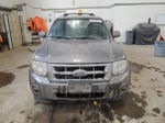 2009 Ford Escape Xlt Black vin: 1FMCU93G89KB76211