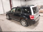 2009 Ford Escape Xlt Black vin: 1FMCU93G89KC27187