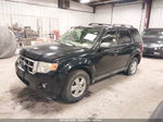 2009 Ford Escape Xlt Черный vin: 1FMCU93G89KC27187