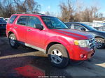 2009 Ford Escape Xlt Maroon vin: 1FMCU93G99KA45174