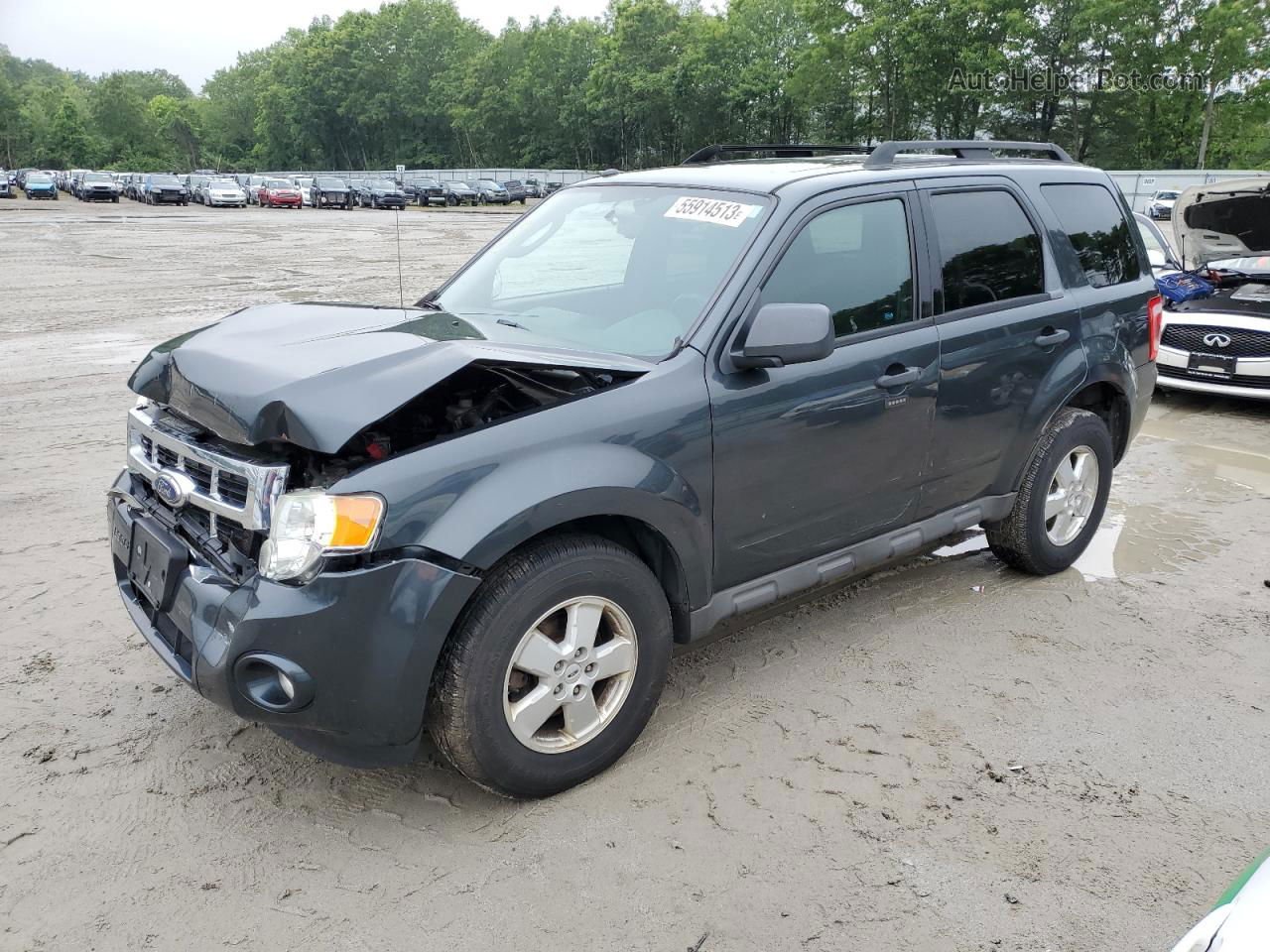 2009 Ford Escape Xlt Gray vin: 1FMCU93G99KA87036