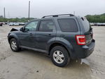 2009 Ford Escape Xlt Gray vin: 1FMCU93G99KA87036