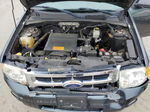 2009 Ford Escape Xlt Gray vin: 1FMCU93G99KA87036