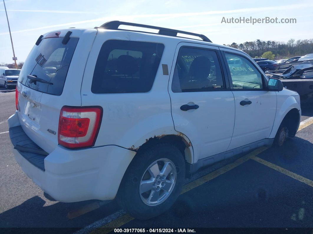 2009 Ford Escape Xlt White vin: 1FMCU93G99KB19161