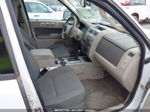 2009 Ford Escape Xlt Белый vin: 1FMCU93G99KB19161