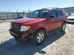 2009 Ford Escape Xlt Red vin: 1FMCU93G99KB55349