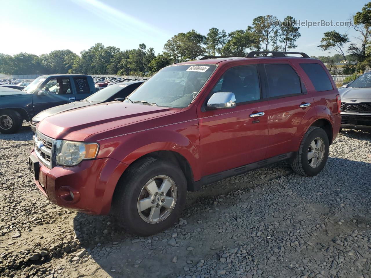 2009 Ford Escape Xlt Красный vin: 1FMCU93G99KC05229