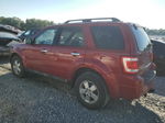 2009 Ford Escape Xlt Красный vin: 1FMCU93G99KC05229