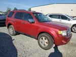 2009 Ford Escape Xlt Красный vin: 1FMCU93G99KC05229