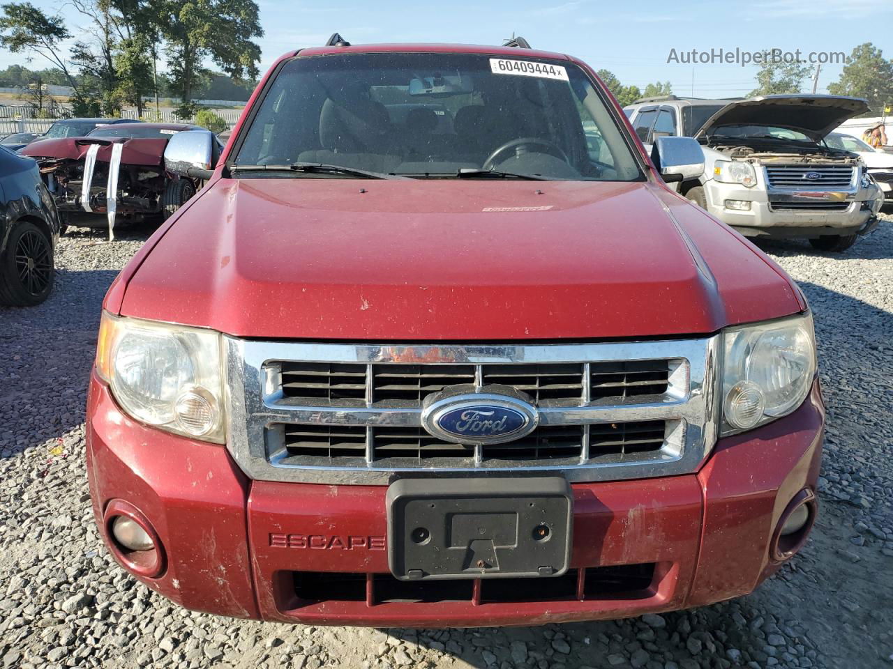 2009 Ford Escape Xlt Красный vin: 1FMCU93G99KC05229