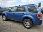 2009 Ford Escape Xlt Blue vin: 1FMCU93GX9KA04049