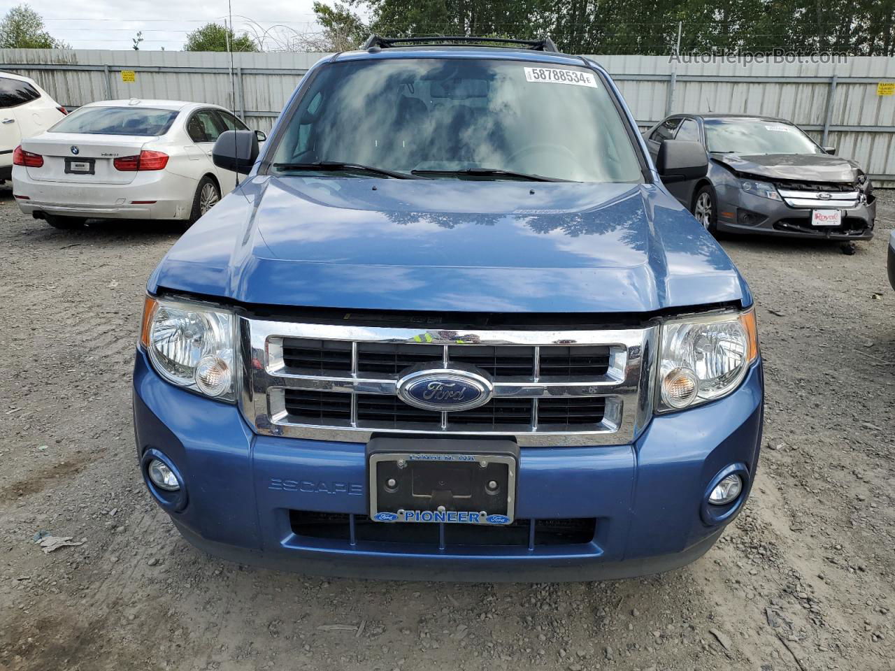 2009 Ford Escape Xlt Blue vin: 1FMCU93GX9KA04049