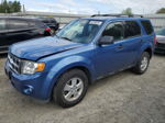 2009 Ford Escape Xlt Blue vin: 1FMCU93GX9KA04049