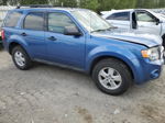 2009 Ford Escape Xlt Blue vin: 1FMCU93GX9KA04049