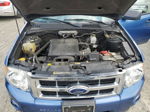 2009 Ford Escape Xlt Blue vin: 1FMCU93GX9KA04049