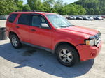 2009 Ford Escape Xlt Красный vin: 1FMCU93GX9KA50254