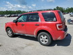 2009 Ford Escape Xlt Красный vin: 1FMCU93GX9KA50254