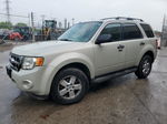 2009 Ford Escape Xlt Beige vin: 1FMCU93GX9KB54887