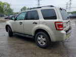 2009 Ford Escape Xlt Beige vin: 1FMCU93GX9KB54887