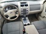 2009 Ford Escape Xlt Beige vin: 1FMCU93GX9KB54887